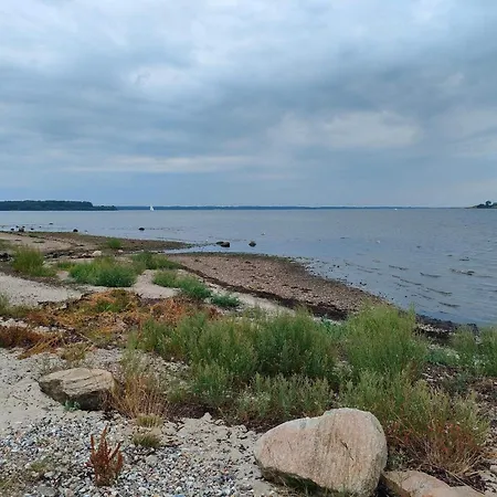 5 Person In Aabenraa-by Traum * Aabenraa